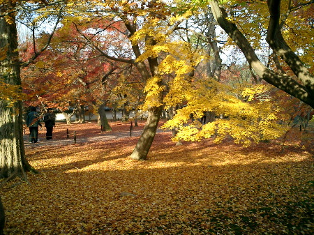 東福寺1