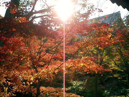 東福寺2
