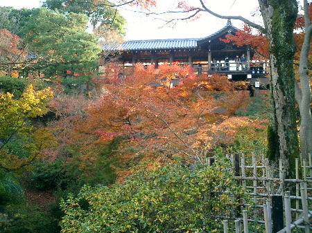 東福寺3通天橋
