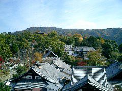 金戒光明寺三門の上から