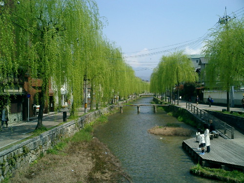 CIMG0456.JPG
