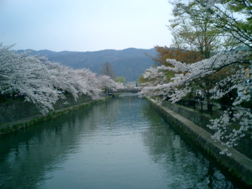 CIMG0479.JPG