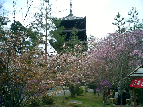 CIMG0495.JPG