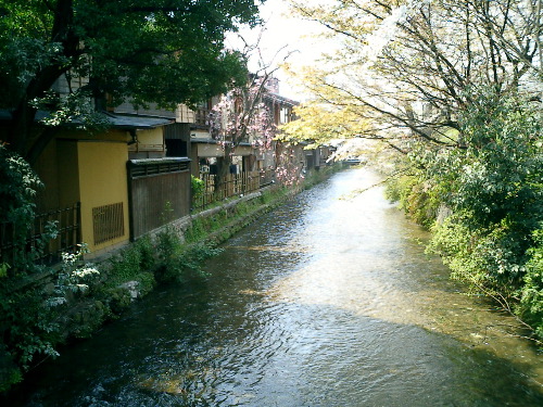 CIMG0462.JPG