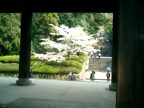 CIMG0470.JPG