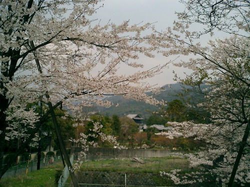 CIMG0475.JPG