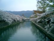 CIMG0479.JPG
