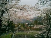 CIMG0475.JPG